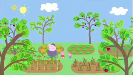 Peppa Pig Season 4 Episode 24 Wishing Well