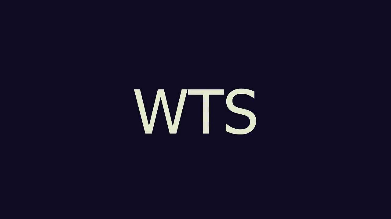 WTS meaning and pronunciation