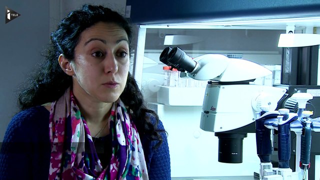 Le Royaume-Uni autorise la manipulation génétique d'embryons