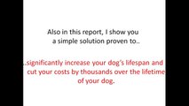 Dog Food Secrets Review - The Shocking Truth About Commercial Dog Food Revealed!