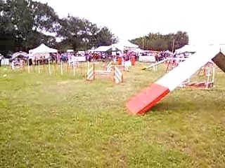 agility