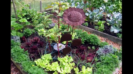 Декоративный огород