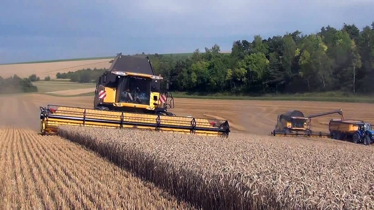 NEW HOLLAND CR 9090 ET 9080 à la moisson en 2014