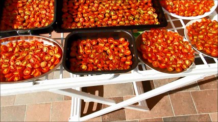 Sun dried tomatoes for FREE - Part 2