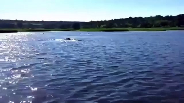 Ожидали увидить кого угодно, но только не его !