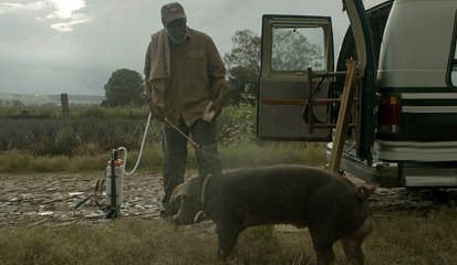 Mr. Pig Full Movie Streaming Online in HD-720p Video Quality