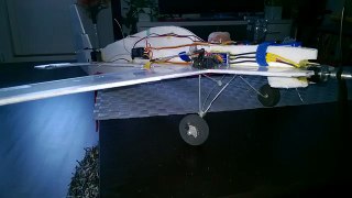 RCPowers EXTRA 330 Totaled