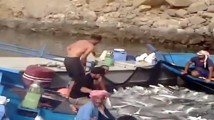 Dünyanın en kolay ve keyifli balık avı