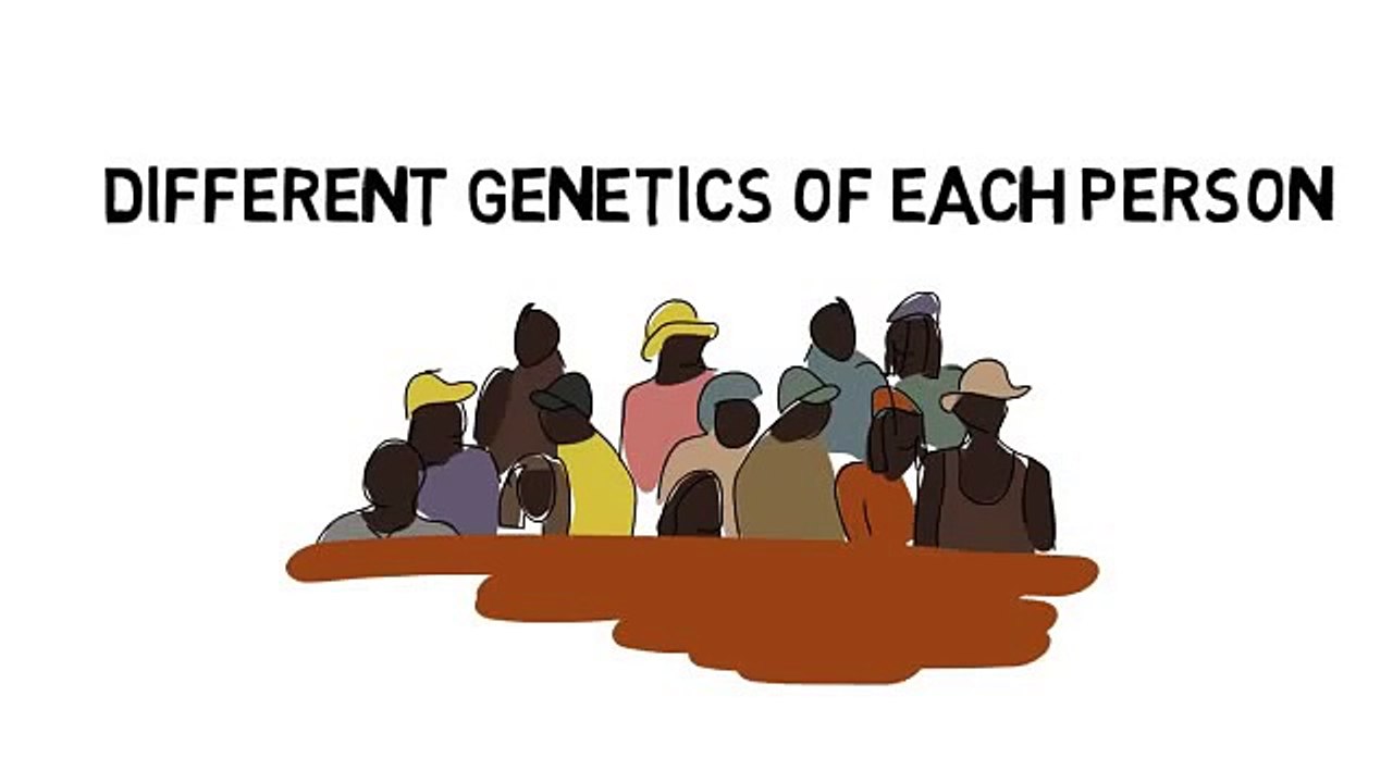 Customized Fat Loss For Men Reviews