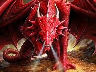 Tengu Fitness- Tacfit inspired -4x4-" the dragon breath" wo