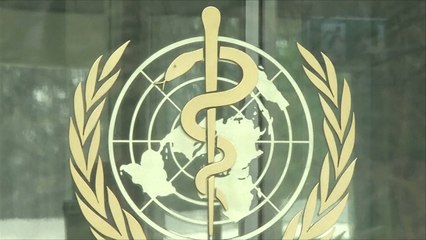 منظمة الصحة العالمية تعلن "زيكا" خطرا على العالم