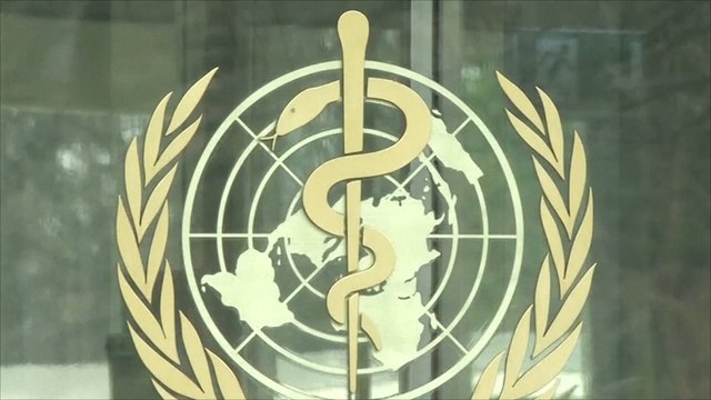 منظمة الصحة العالمية تعلن زيكا خطرا على العالم