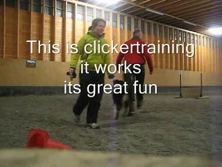 clickertraining a distracted dog