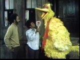 Classic Sesame Street - Big Bird Uses a Mirror/Buddy & Jim