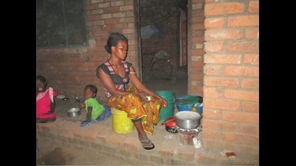 Mosquito Trap Uses Human Scent as Bait