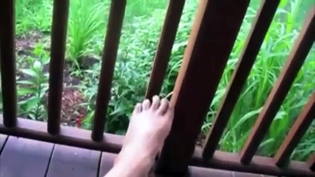 Hem Ankle Rehab Review - Heal A Sprained Ankle Fast