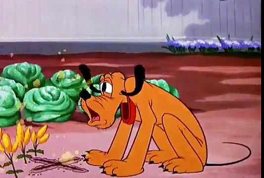 Old Disney Cartoons Pluto Bone Bandit