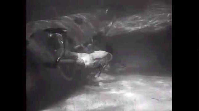 바카라앵벌이↗KOP77,COM←바카라게임설명♣피나클 주소