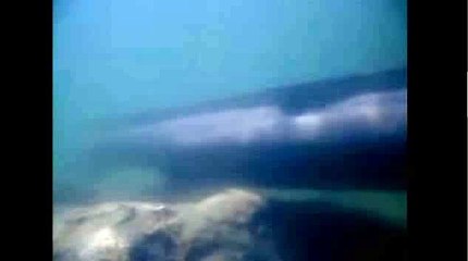 필리핀카지노⊙KOP77,COM¶바카라게임←바카라사이트주소