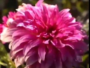 Suburban Secrets (2007) S2 E20 Português br