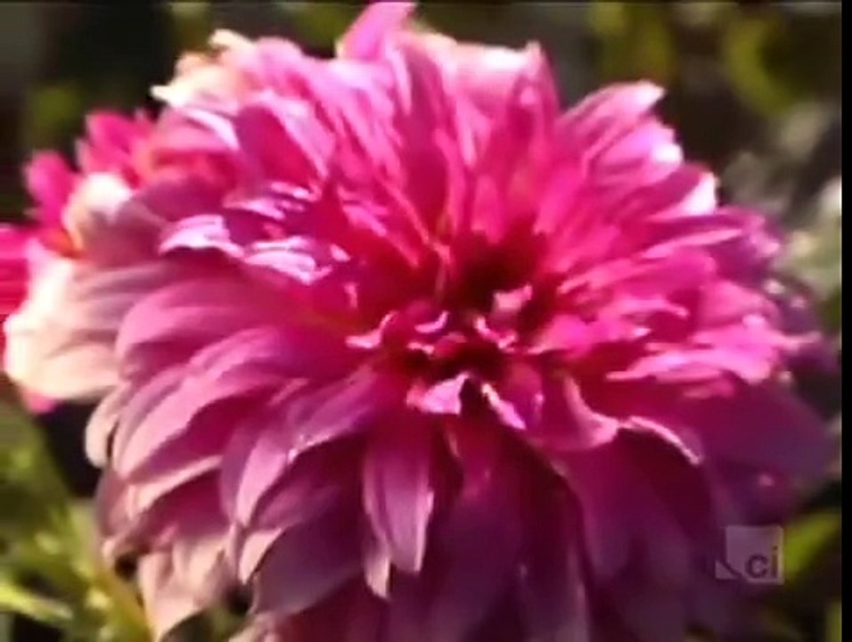 Suburban Secrets (2007) S2 E20 Português br