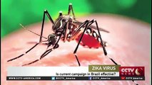 The World Health Organization declares Zika virus a global emergency (FULL HD)