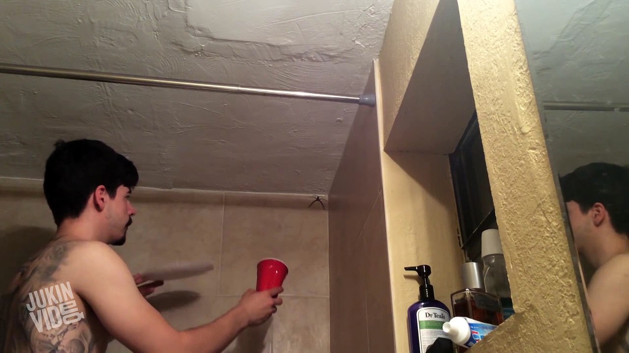 Big Spider Attacks Daddy