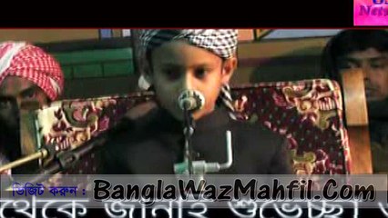 Bangla waz ansari - part 02