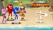 Sonıc Boom linkn smash! - Sonic Boom Games