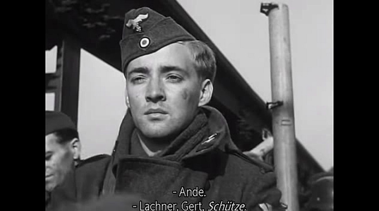 로얄드림카지노랜드↙WKW22。COM♣바카라추천사이트▦바카라추천사이트