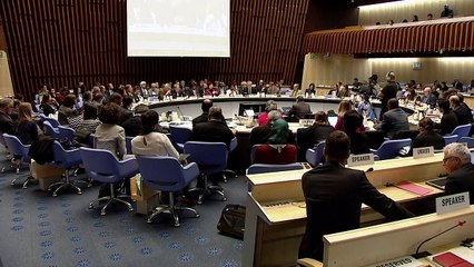 OMS declara emergencia de salud global brote de zika