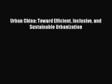 [PDF Download] Urban China: Toward Efficient Inclusive and Sustainable Urbanization [Read]