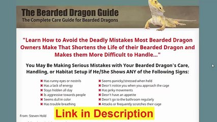 The Bearded Dragon Guide Review - How To Care Bearded Dragon