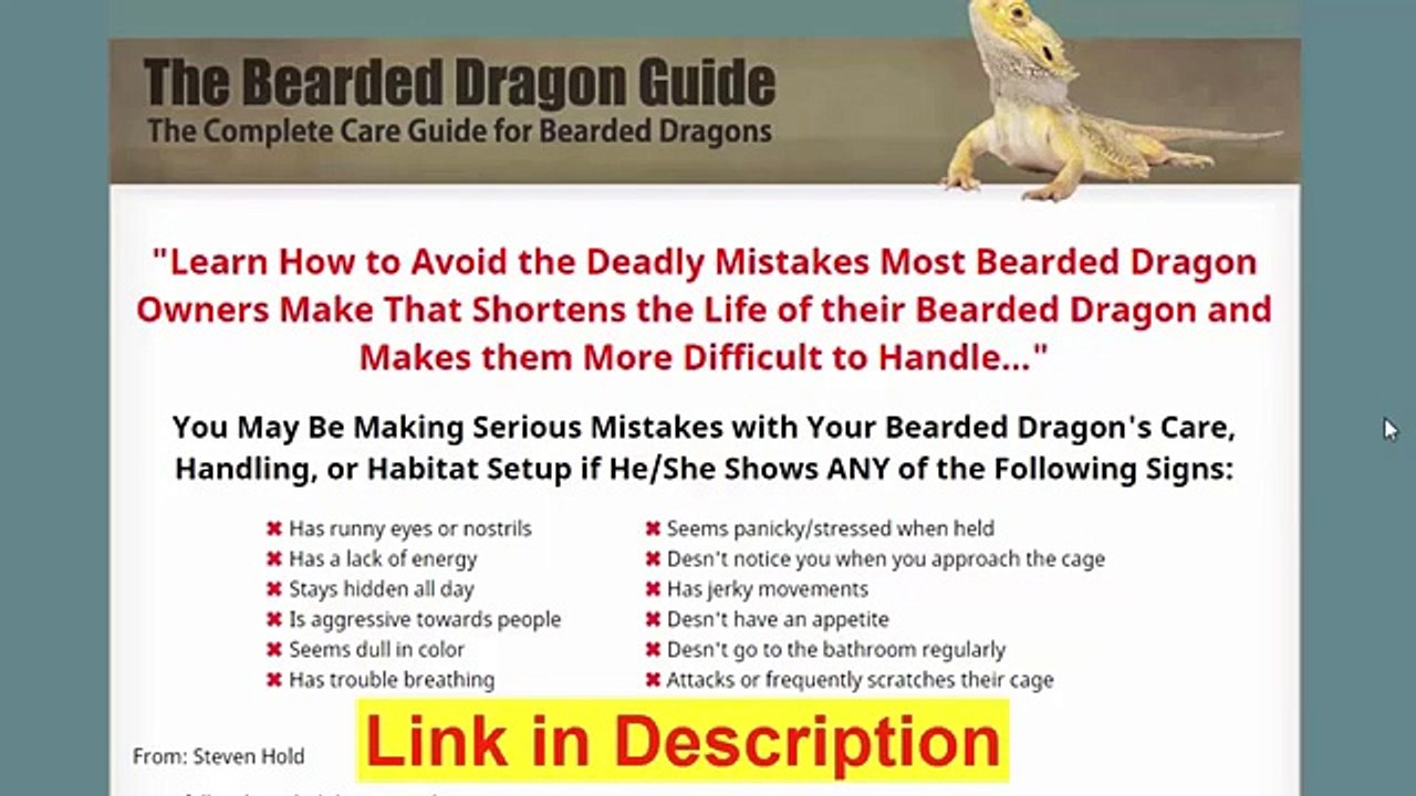 The Bearded Dragon Guide Review - How To Care Bearded Dragon