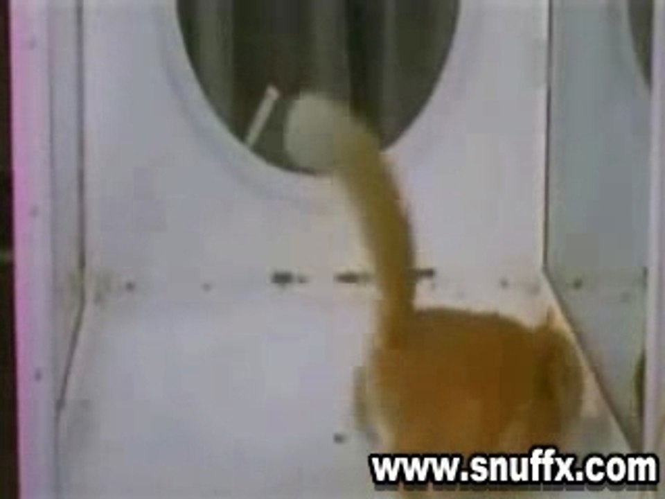 Un chat sous LSD