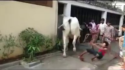 shit kicked out of you !!! Lol