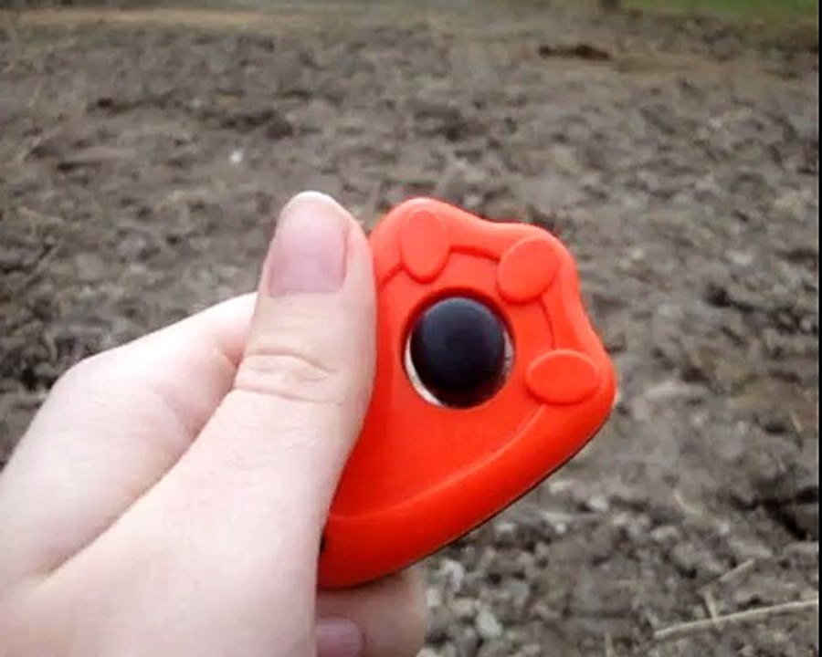 Gunni - Clickertraining 6 (Frisbee-Scheibe Teil 2)