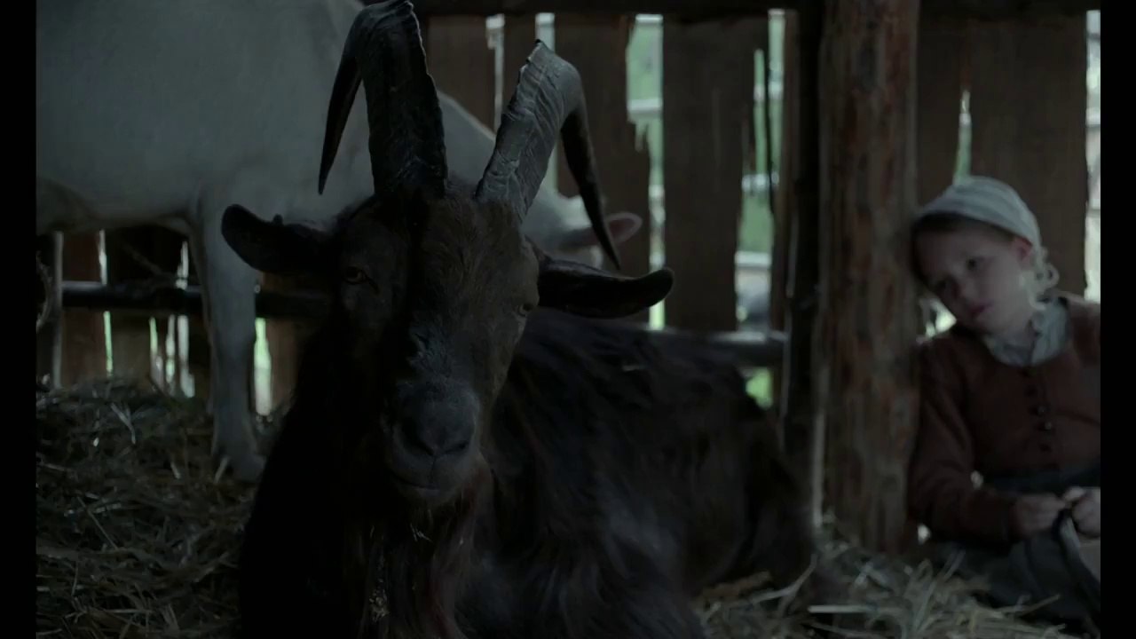 THE WITCH - Peek A Boo