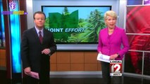 ResponsibleOhio: Plan would set up marijuana growing sites