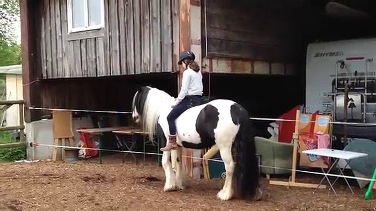 Zirkuslektionen/ Clickertraining mit Pferden Kayley und Inya Mai 2015