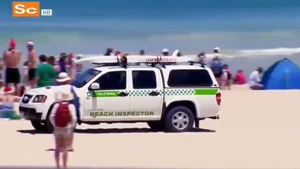 Worlds Deadliest Shark Attack Coast(full documentary)HD