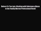 Before It's Too Late: Working with Substance Abuse in the Family (Norton Professional Book)