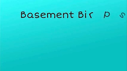 Basement Renovations