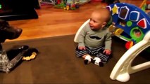 Funny Baby Videos - Cute Babies Laughing Hysterically at Dogs Compilation 2015