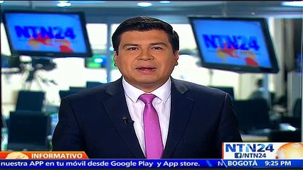 ¿Cuáles son los pasos para que un precandidato sea escogido como la opción única de su partido en EE.UU.?