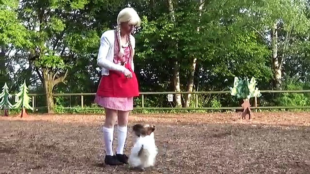 Clickertraining/Tricks mit Tieren Vorführungen kl. Tiere 1. Teil "Die Reise zur weissen Taube" 2015