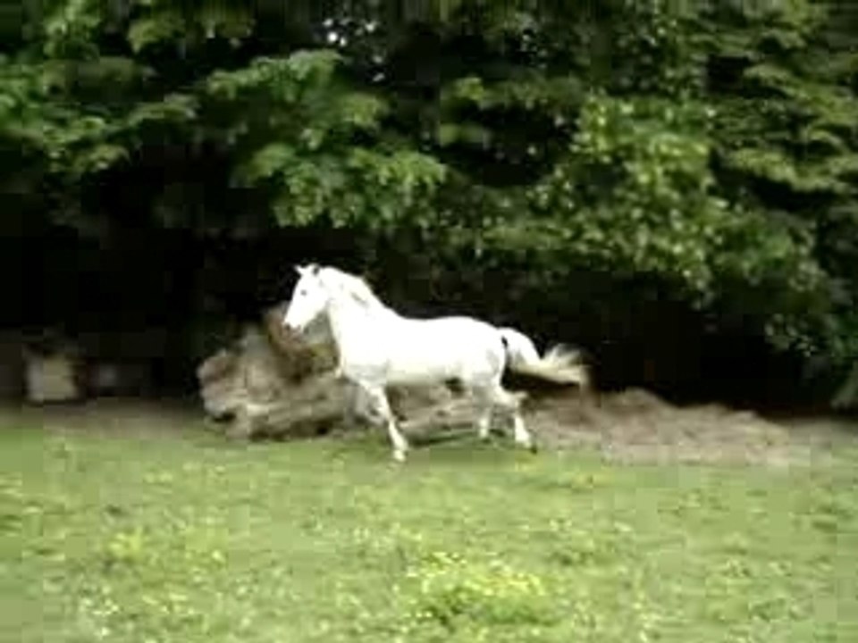 KARIOSO 26 mai 2007-1