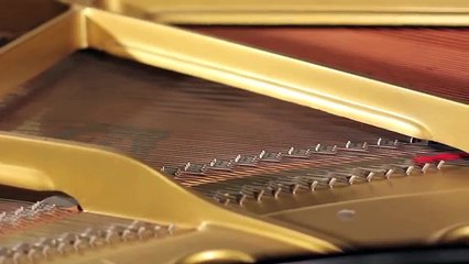 Uproar Concert Promotions: Layne Lynch on the Rocket Summer