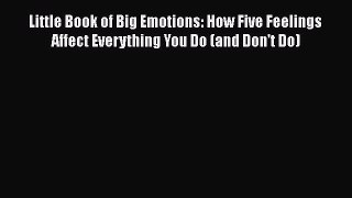 Little Book of Big Emotions: How Five Feelings Affect Everything You Do (and Don't Do) Read