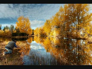 More Than Just Friends